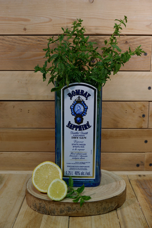 Vaso Bombay Sapphire Magnum