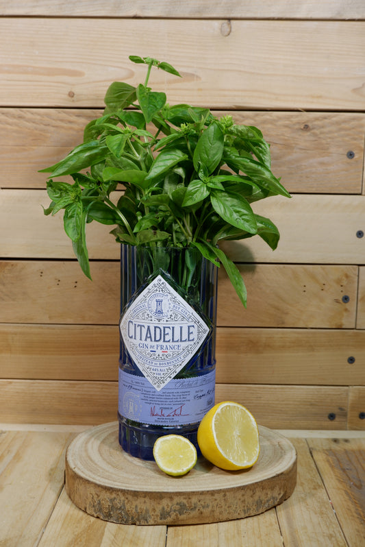 Vaso Citadelle Gin