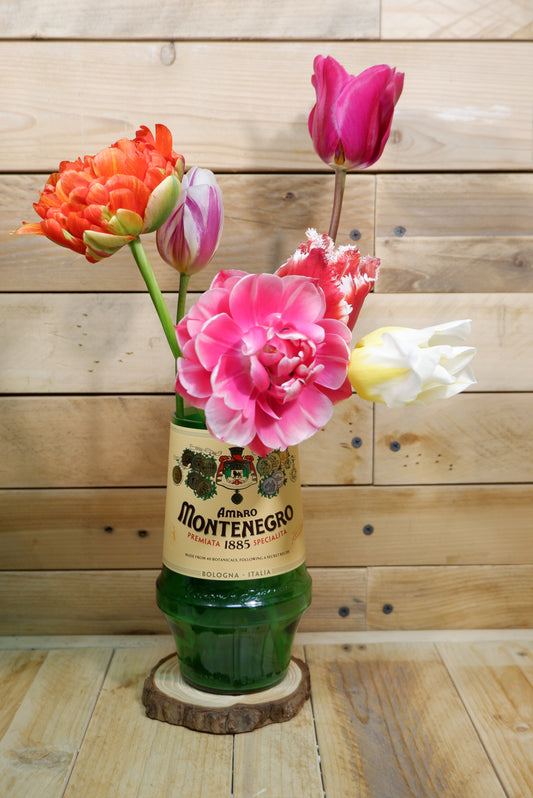 Vaso Montenegro