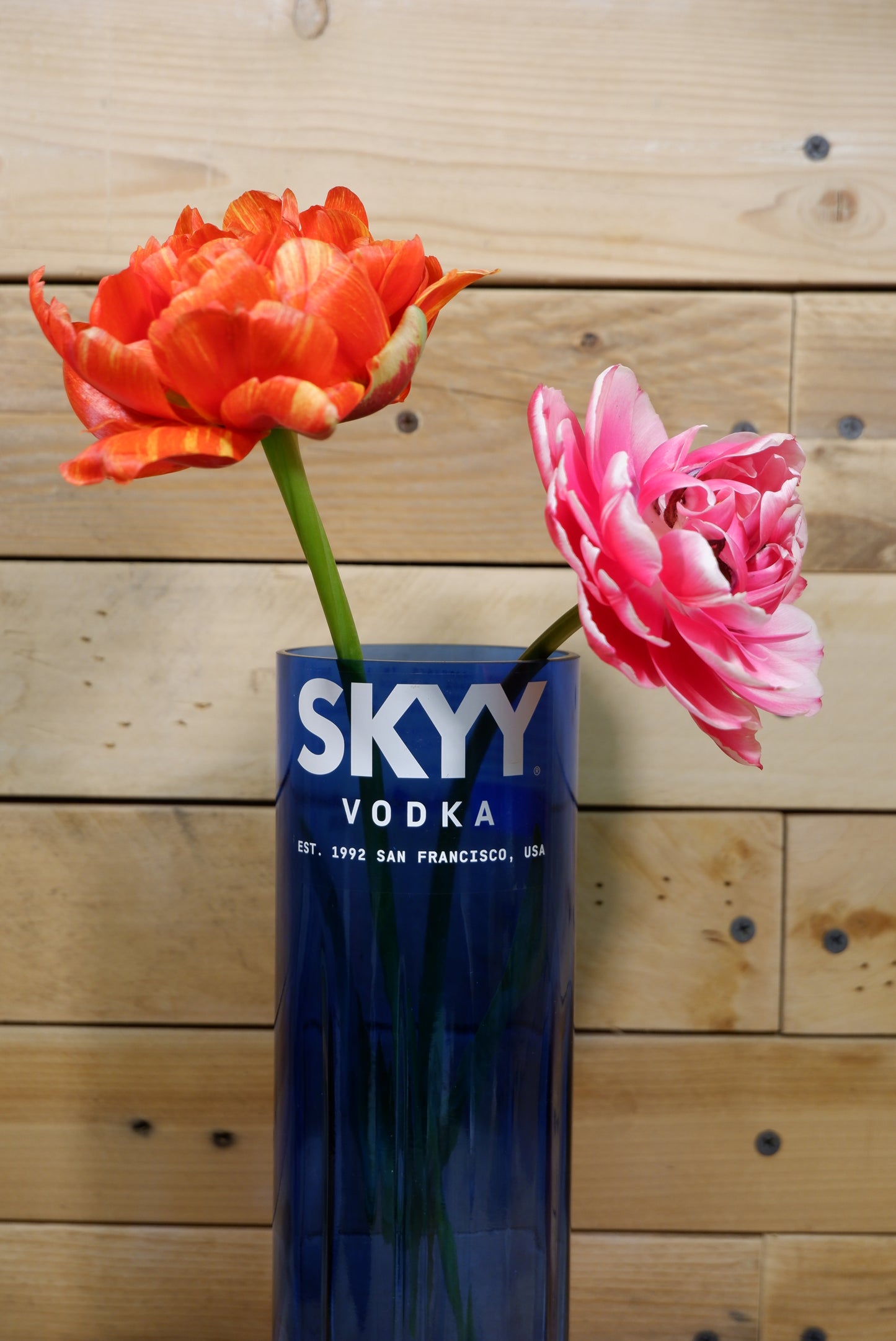 Vaso SKYY Vodka